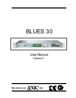 Preview for 1 page of R.V.R. Electronica BLUES30 User Manual