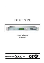 R.V.R. Elettronica BLUES 30 User Manual preview