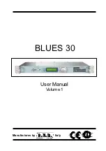 R.V.R. Elettronica BLUES 30 User Manual предпросмотр