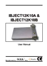 R.V.R. Elettronica IBJECT12K10A User Manual preview