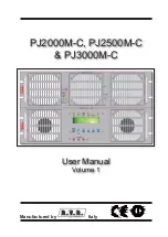 Preview for 1 page of R.V.R. Elettronica PJ1000M-C User Manual