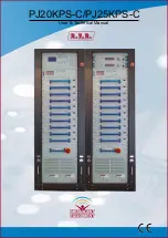 Preview for 1 page of R.V.R. Elettronica PJ20KPS-C User'S & Technical Manual