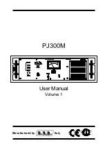 R.V.R. Elettronica PJ300M User Manual предпросмотр