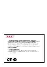 Предварительный просмотр 3 страницы R.V.R. Elettronica PJ5KPS User'S & Technical Manual