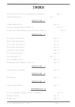 Preview for 3 page of R.V.R. Elettronica PJRL250 Technical Manual