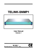 R.V.R. Elettronica TELINK-SNMP1 User Manual предпросмотр