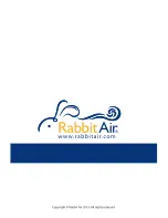 Preview for 13 page of Rabbit Air BioGS SPA-550A Owner'S Manual