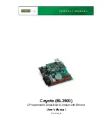 Preview for 1 page of Rabbit Coyote BL2500 User Manual