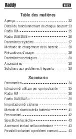 Предварительный просмотр 4 страницы Raddy RD23 Use Manual