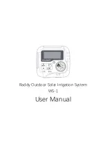 Raddy WS-1 User Manual preview