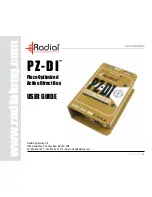 Preview for 1 page of Radial Engineering PZ-DI User Manual