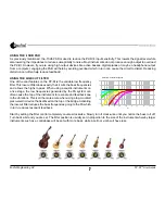 Preview for 9 page of Radial Engineering PZ-DI User Manual