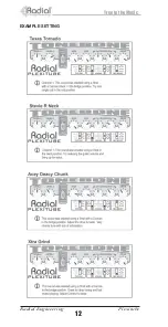 Предварительный просмотр 14 страницы Radial Engineering TONEBONE PLEXITUBE Owner'S Manual