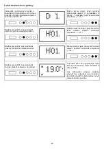 Preview for 49 page of Radialight ICON 10 Operating Instructions Manual