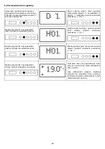 Предварительный просмотр 49 страницы Radialight ICON 10 Operating Instructions Manual