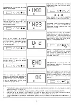 Preview for 71 page of Radialight ICON 10 Operating Instructions Manual