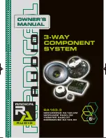 RADICAL AUDIO RA163.3 Owner'S Manual preview