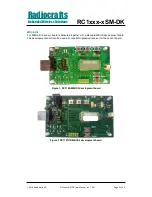 Preview for 4 page of Radiocrafts RC1***-*SM-DK series User Manual