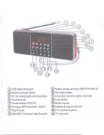 Предварительный просмотр 2 страницы Radioddity Y-618 User Manual