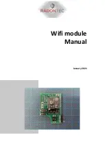 Preview for 1 page of RadonTec 58-202 Manual