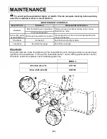 Предварительный просмотр 28 страницы RadTech 21700001 Owner'S Manual