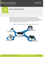 Предварительный просмотр 4 страницы RADVision SCOPIA Elite 5000 Series MCU User Manual