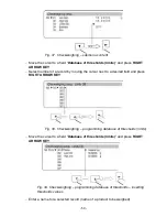 Preview for 50 page of RADWAG PS 1000/X User Manual