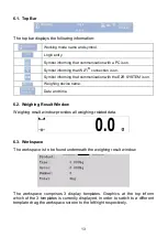 Предварительный просмотр 13 страницы RADWAG PUE 7.1 User Manual