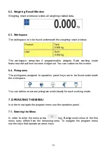 Предварительный просмотр 13 страницы RADWAG PUE C32 User Manual