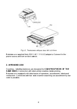 Preview for 6 page of RADWAG WLL 1/A1 User Manual