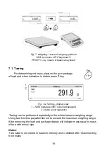 Preview for 19 page of RADWAG WLL 1/A1 User Manual