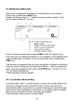 Preview for 52 page of RADWAG WLL 1/A1 User Manual