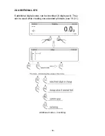 Preview for 54 page of RADWAG WLX series User Manual