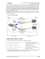 Предварительный просмотр 159 страницы Radware Alteon Application Manual