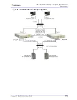 Предварительный просмотр 579 страницы Radware Alteon Application Manual