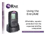 Rae EntryRAE Manual preview
