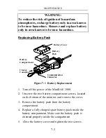 Предварительный просмотр 119 страницы Rae MiniRAE 2000 Operation And Maintenance Manual