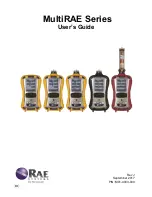 Rae PGM62x0 User Manual предпросмотр