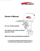 Raider 50 HP TLDI Owner'S Manual preview