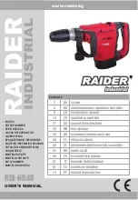 Raider RDI-HD48 User Manual preview