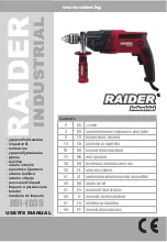 Preview for 1 page of Raider RDI-ID39 User Manual