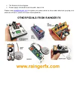 Preview for 2 page of Rainger FX REVERB-X User Manual