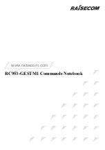 Предварительный просмотр 1 страницы Raisecom RC953-GESTM1 Command Manual