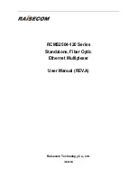 Raisecom RCMS2504-120 User Manual preview