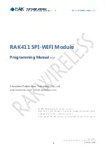 RAK RAK411 Programming Manual preview