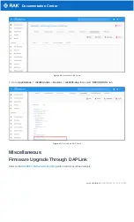 Preview for 22 page of RAK RAK4260 Quick Start Manual