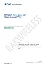 RAK RAK831 User Manual предпросмотр