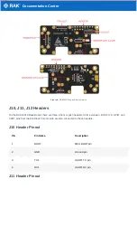 Preview for 13 page of RAK WisBlock RAK19010 Quick Start Manual