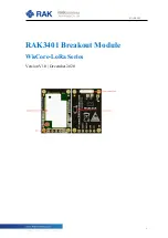 RAK WisCore-LoRa RAK3401 Quick Start Manual preview