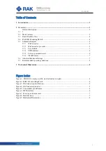 Preview for 2 page of RAK WisCore-LoRa RAK3401 Quick Start Manual